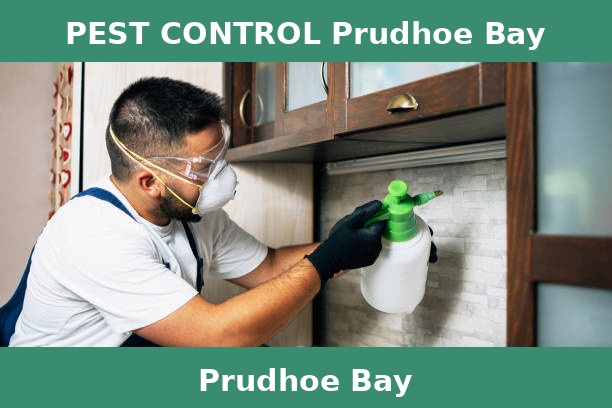 PEST CONTROL Prudhoe Bay